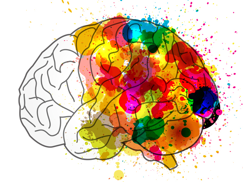 Drawing of brain painted with watercolor