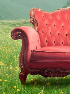 Sofa in a field